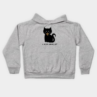 I am an indoor cat - Introvert cat - Indoorsy - black cat - pizza cat Kids Hoodie